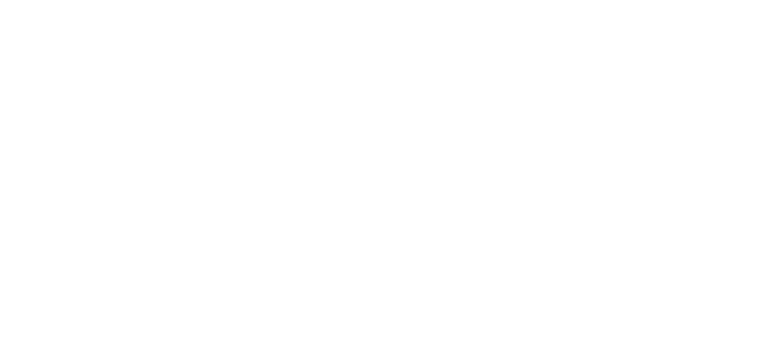 Flyinn Transfer